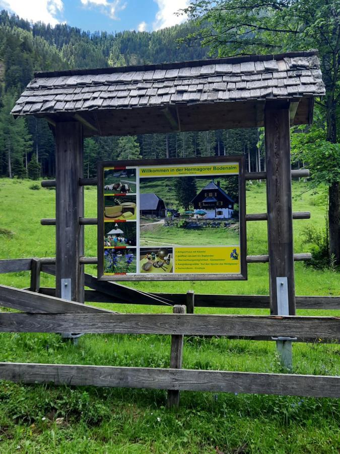 Haus Steinthaler Leilighet Stockenboi Eksteriør bilde