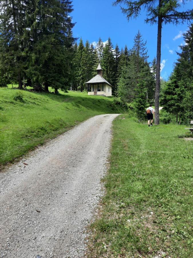 Haus Steinthaler Leilighet Stockenboi Eksteriør bilde